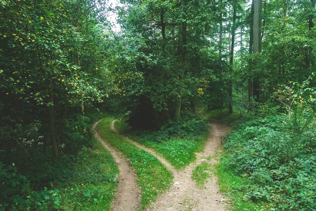 Three Things To Ask Yourself About Disclosing